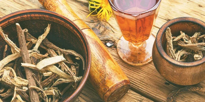 Harpagophytum, ein entzündungshemmender Wirkstoff?