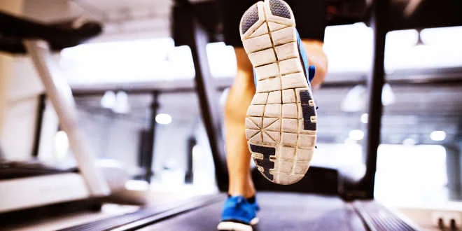 Irisin, ein Hormon, das die Effekte von Sport und Ernährung imitiert