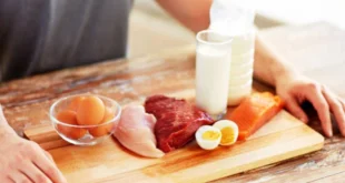 Wie viel Protein können wir pro Mahlzeit aufnehmen?