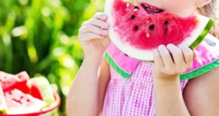 Mit wasserreichen Früchten und Gemüse hydriert bleiben