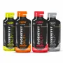 EVOENERGY GEL MIT KOFFEIN