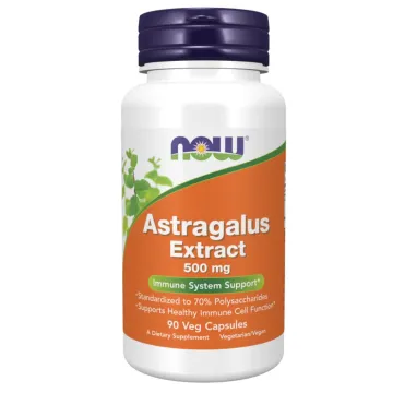 ASTRAGALUS EXTRAKT 500 mg - 90 veg caps