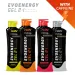 EVOENERGY GEL MIT KOFFEIN
