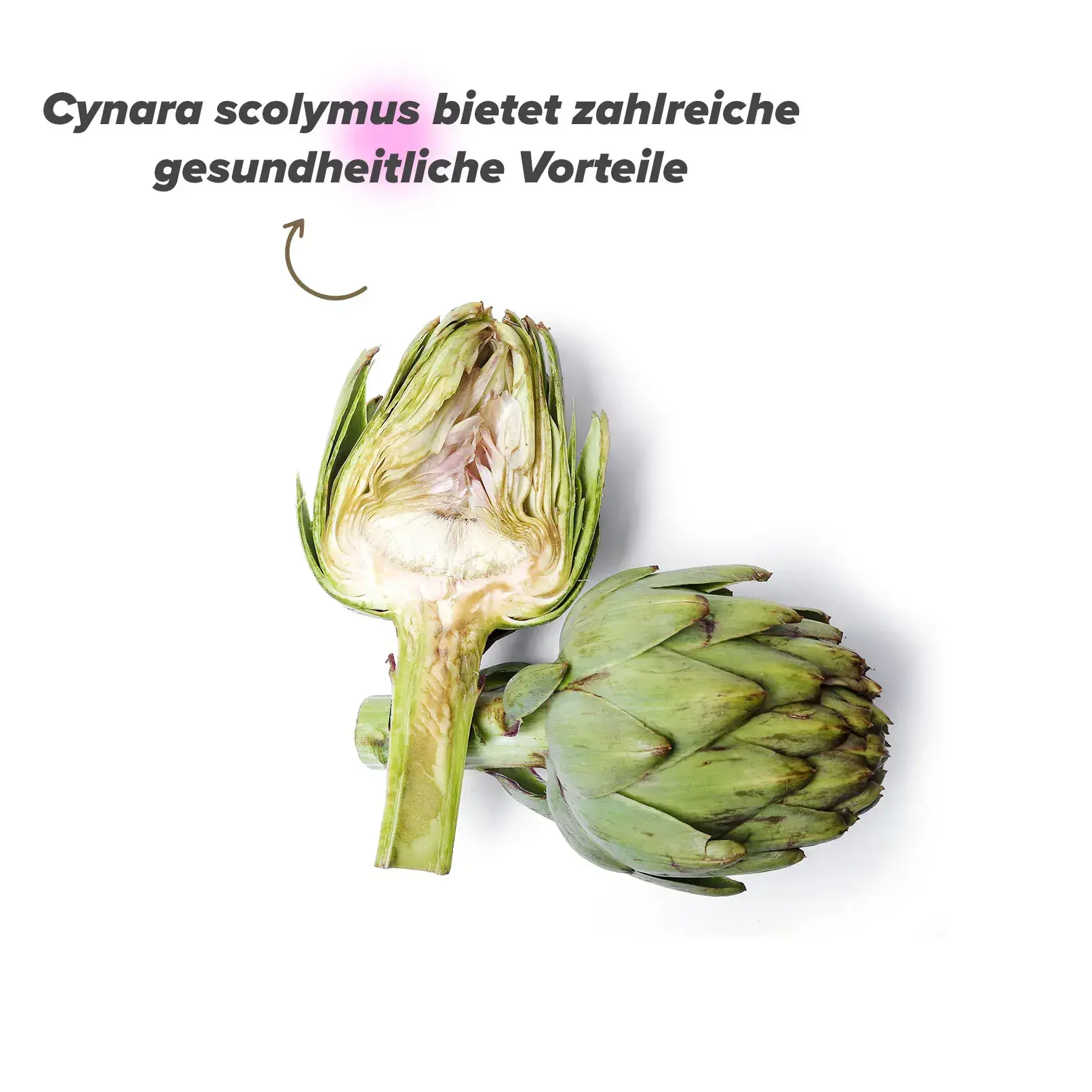 Bedeutung der Artischocke für die Gesundheit Bedeutung der Artischocke für die Gesundheit