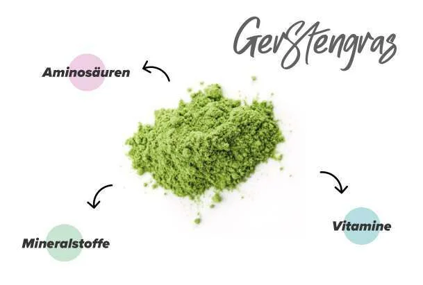 N&auml;hrstoffe in Gerstengras