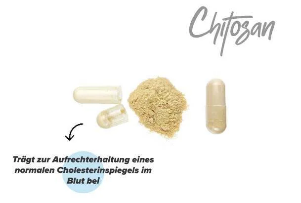 Wirkungen von Chitosan im K&ouml;rper