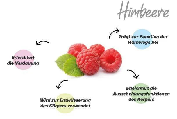 Funktionen von Himbeeren