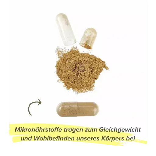 Was bringen Mikronährstoffe deinem Körper? Was bringen Mikronährstoffe deinem Körper?