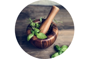 Das angewandte Extraktionsverfahren.