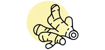 Unterst&uuml;tze deine Verdauung mit Ingwerwurzelextrakt