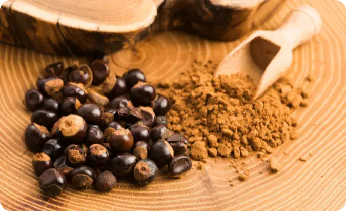 Guarana Extrakt