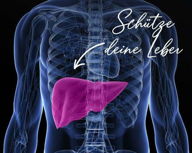 Was sind Nahrungserg&auml;nzungsmittel zur Leberreinigung und zum Leberschutz?