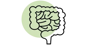 homocysteinstoffwechsel