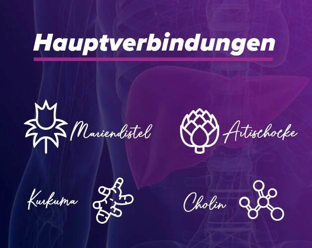 Eigenschaften von nat&uuml;rlichen Leberschutzmittel