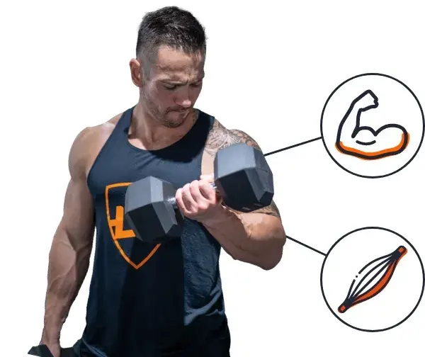 Protein auf Fleischbasis zum besten Preis kaufen