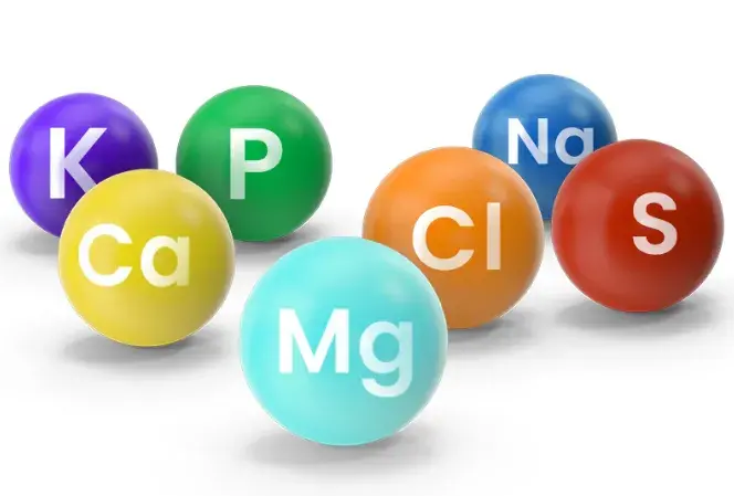 Arten von Mineralstoffen