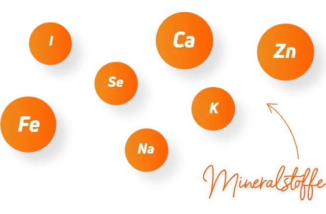 Was sind Mineralstoff&shy;pr&auml;parate?