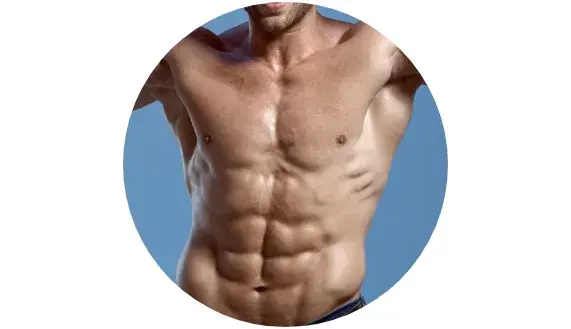 Normale Muskelfunktion