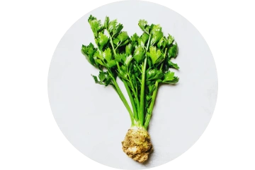 Der ausgewählte Pflanzenteil