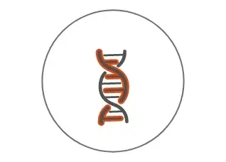 DNA-Schutz