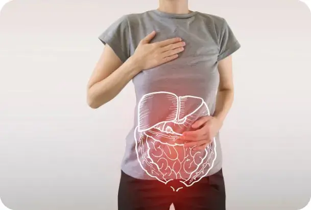 Was machen Enzyme bei der Verdauung?