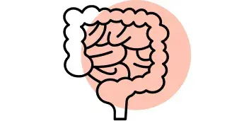 Ist Aktivkohle wirksam gegen Bl&auml;hungen?