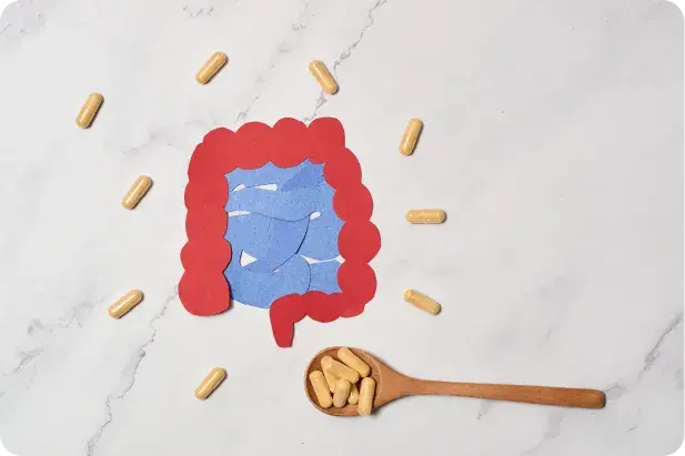 Warum wird die Einnahme von Produkten f&uuml;r die Verdauung empfohlen?