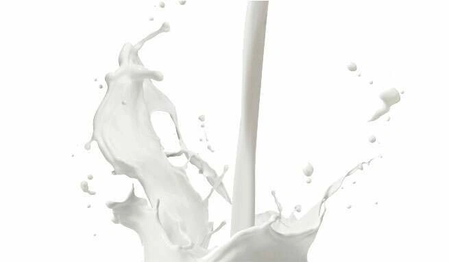 Wozu ist die Einnahme von Molkenprotein gut?