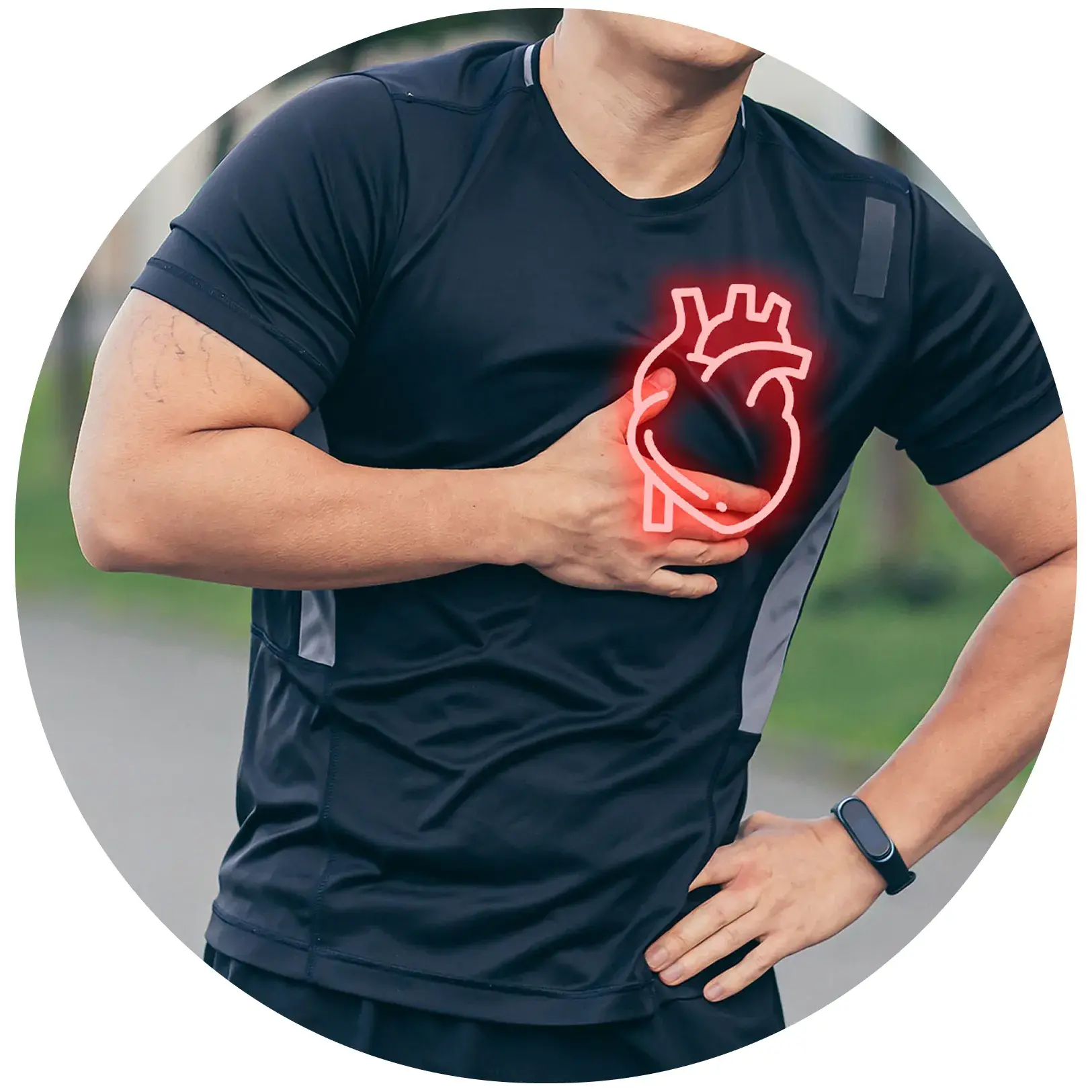 Herz-Kreislauf-Gesundheit