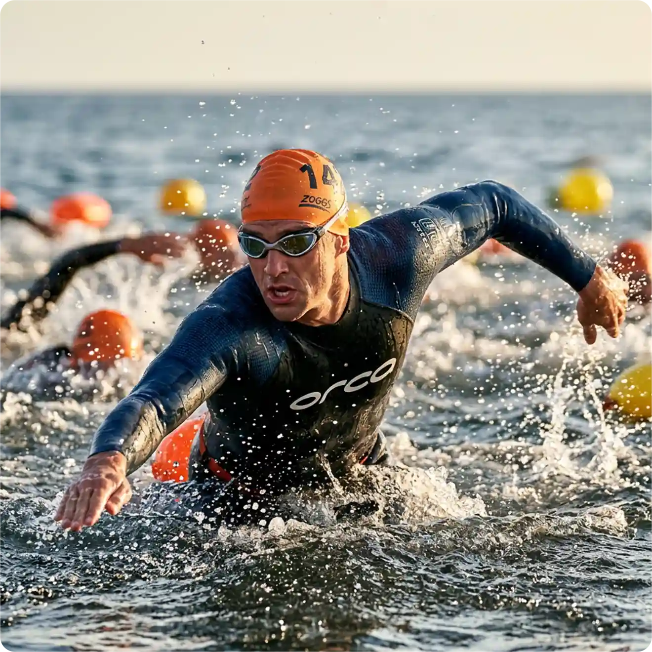 Sport nutrition supplements